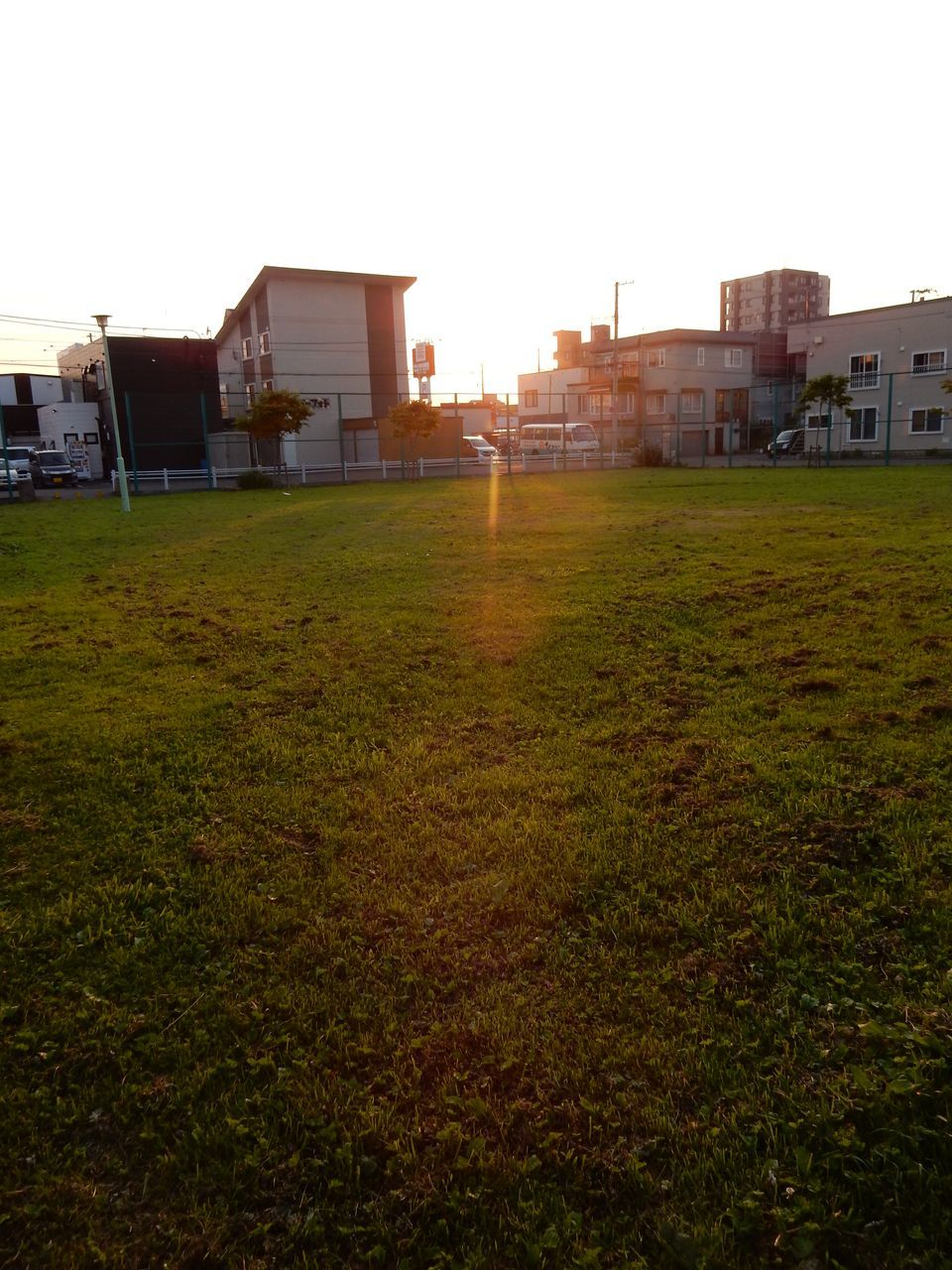 札幌にはムラサキではないハシドイも咲く_c0025115_22232741.jpg
