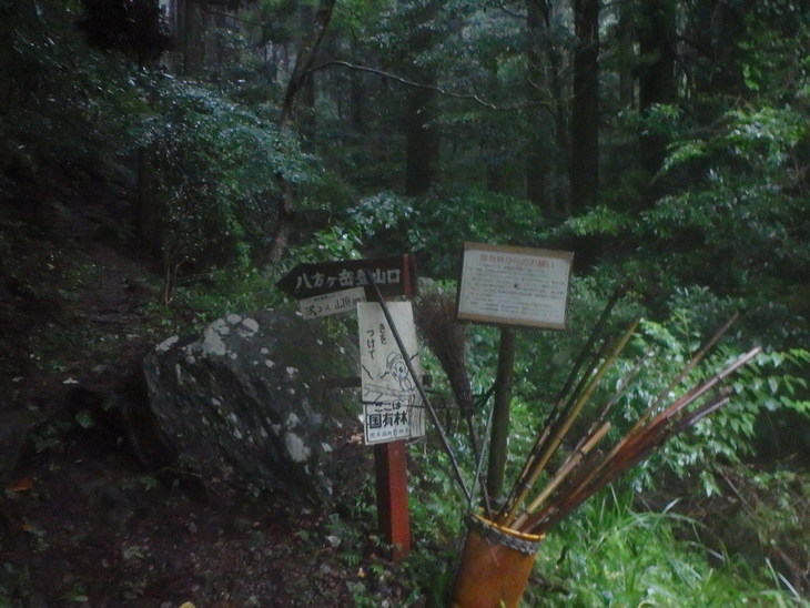 f0193521_3554570.jpg
