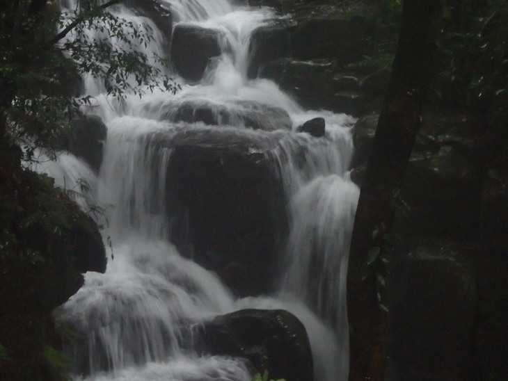f0193521_40180.jpg