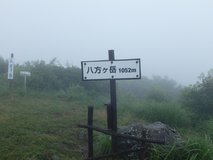 f0193521_531557.jpg
