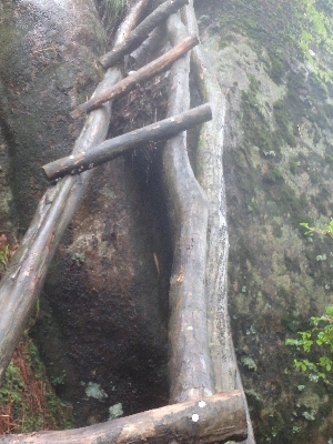 f0193521_5471255.jpg