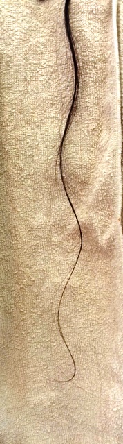 c0109726_166992.jpg