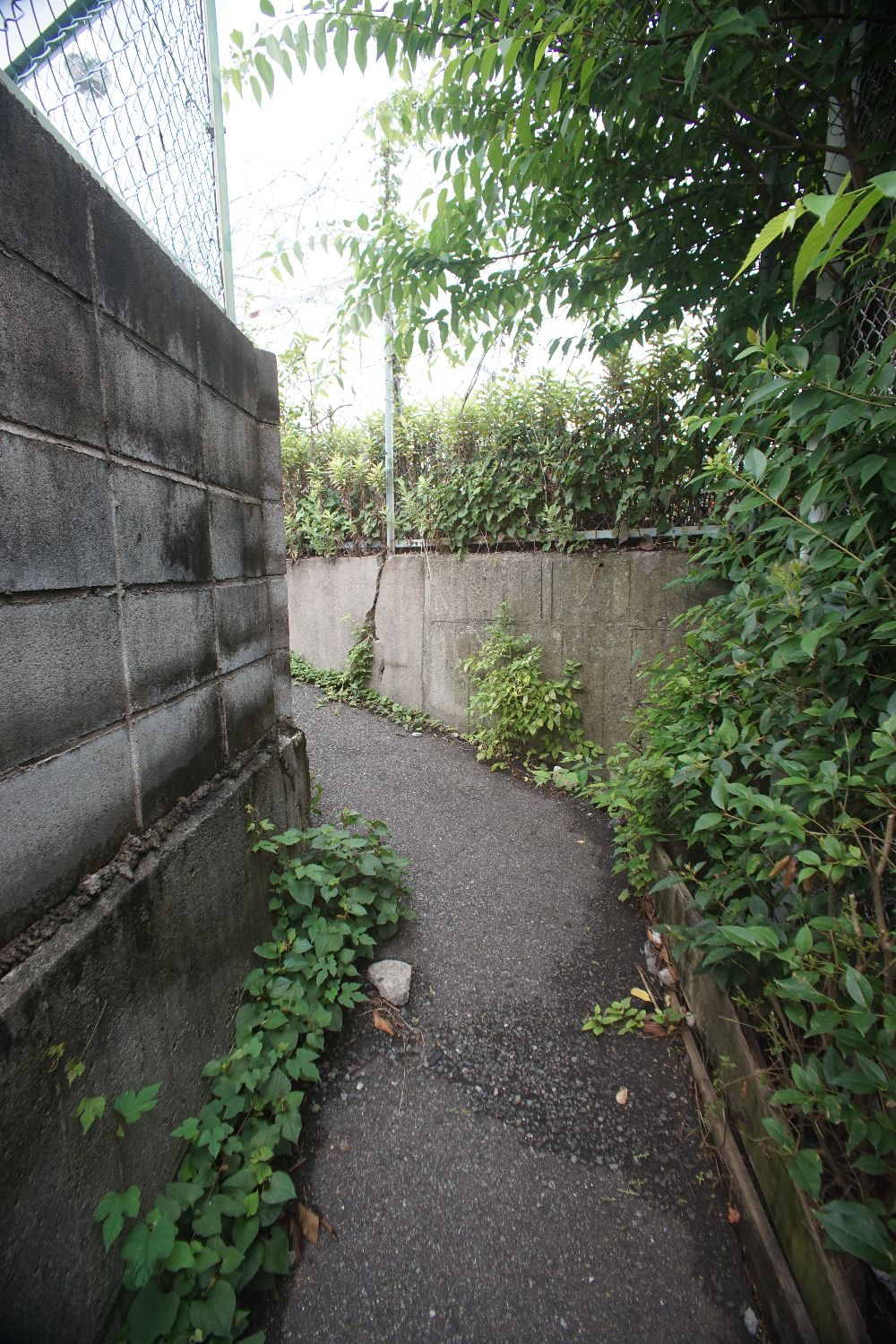 b0069128_191378.jpg