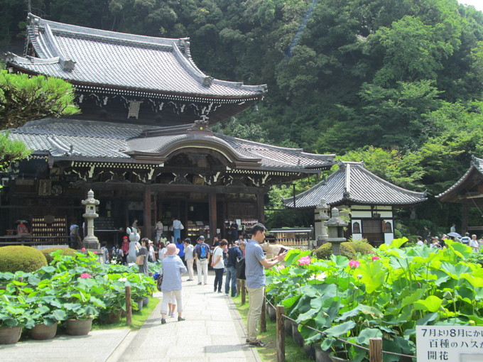 遅ればせながら・・・今年もあじさい寺へ_d0361028_0264669.jpg