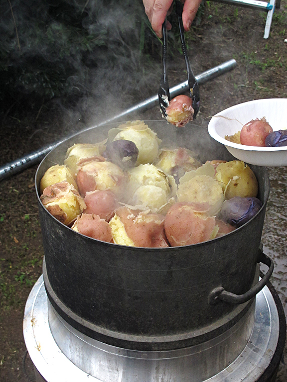 f0031535_11351357.jpg