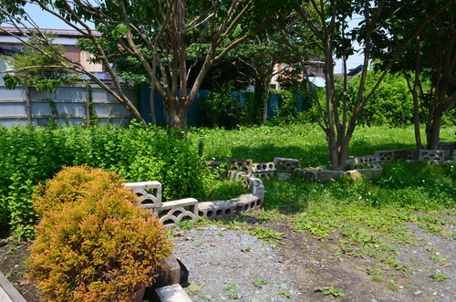 ひよ~♪_b0207642_168164.jpg