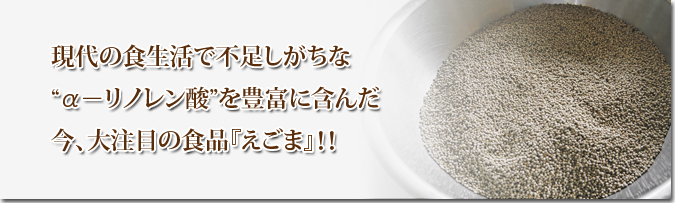 無農薬栽培の白エゴマ油『ピュアホワイト』完売御礼！平成30年度の白エゴマの定植！_a0254656_15022343.jpg