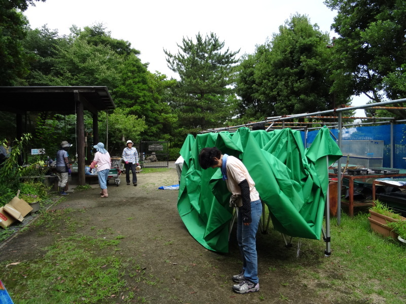 テント（３ｍ×６ｍ）を買いました・・・うみべの森_c0108460_20001313.jpg