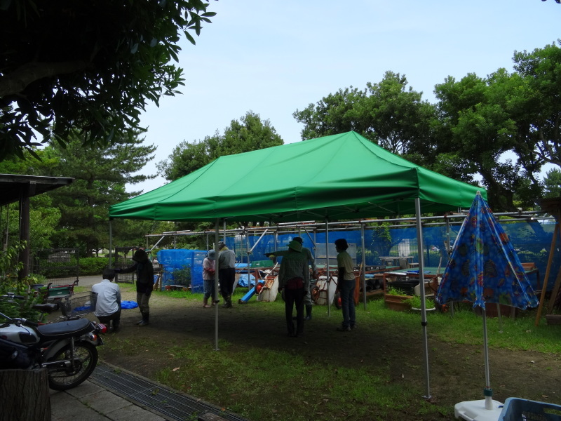 c0108460_20003673.jpg