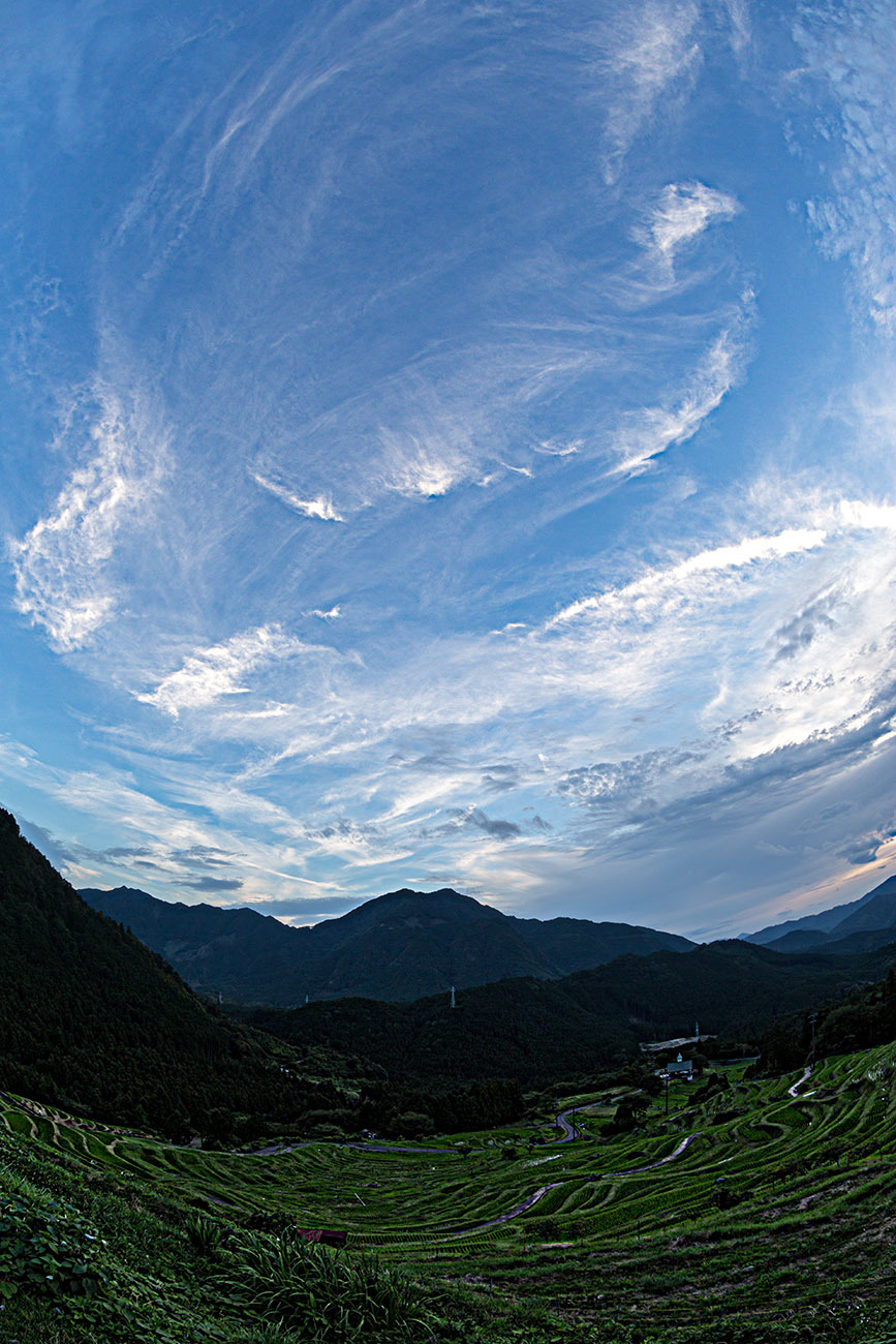 d0362961_19422578.jpg
