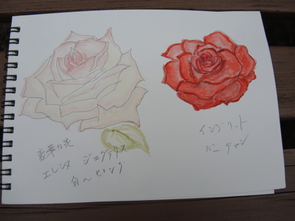 7月写生会　Ｈさんの作品_e0266366_09583496.jpg