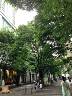 b0135267_9334249.jpg