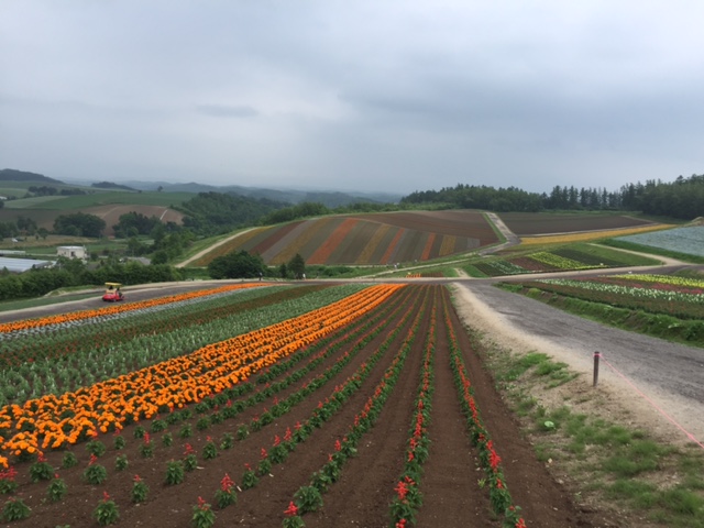 北海道一周の旅（４日目）_f0067067_1115411.jpg