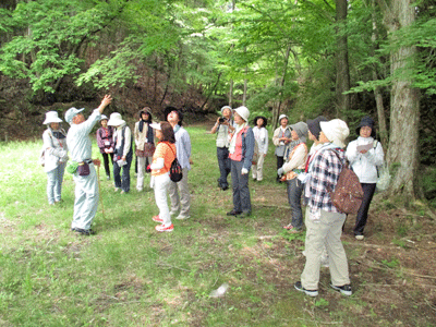 f0140773_14254378.gif