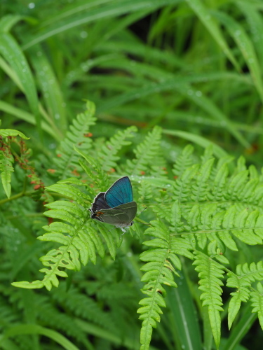 e0305074_22403671.jpg