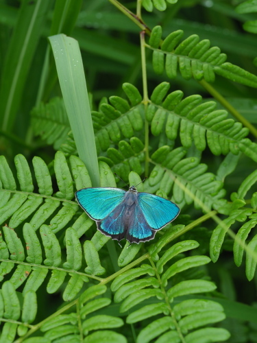 e0305074_22564553.jpg