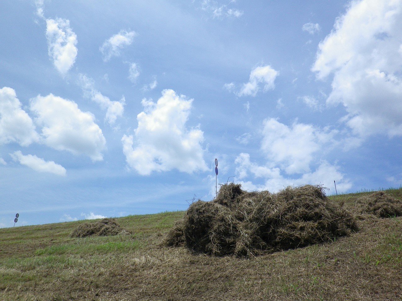 『長良川の堤防から河川敷へ･････』_d0054276_20285443.jpg