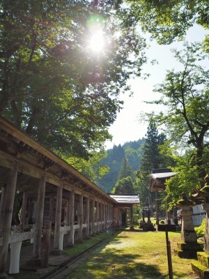 梅雨の晴れ間!_c0336902_18322829.jpg