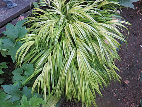 d0046702_06244940.jpg