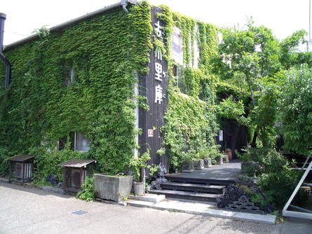 緑のカーテン(壁面緑化)_b0186205_1052365.jpg