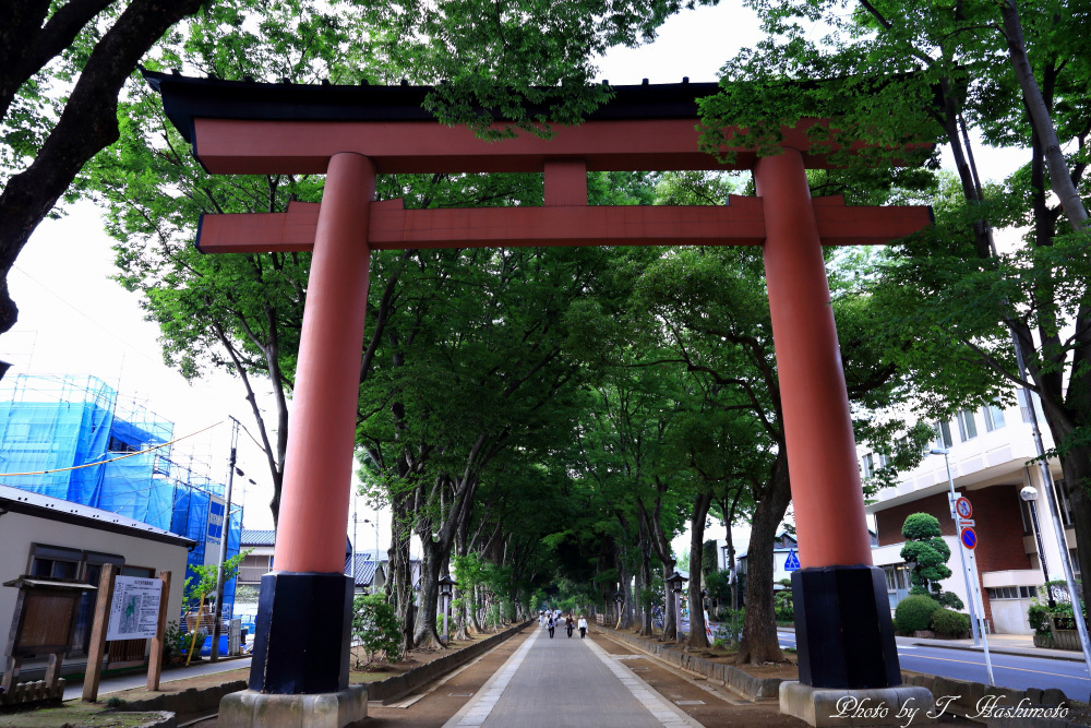 埼玉県大宮の古社と盆栽村の美術館_d0334006_22160341.jpg