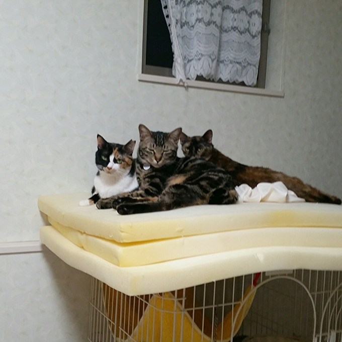 e0144012_21160969.jpeg
