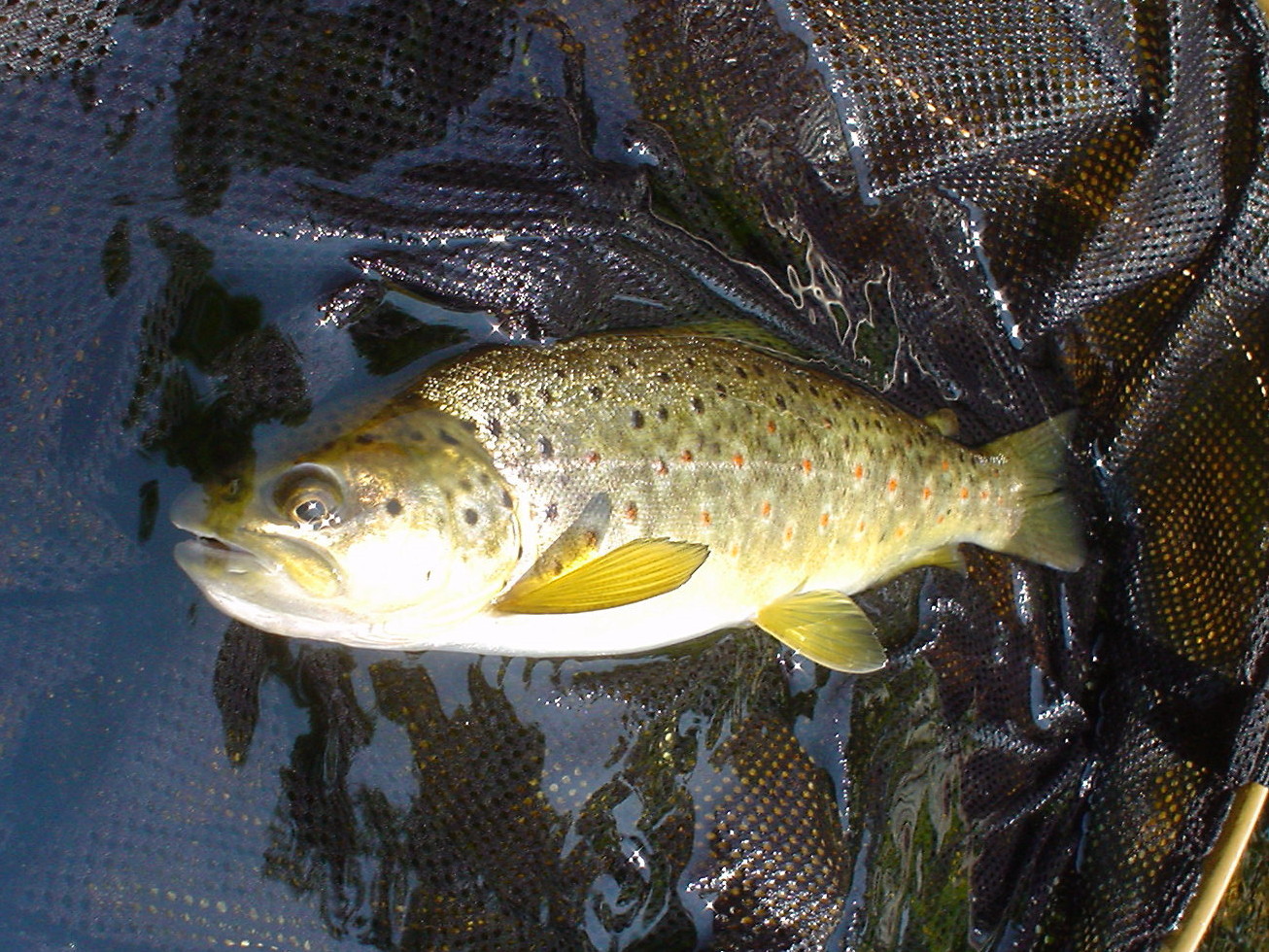 f0280717_16300089.jpg