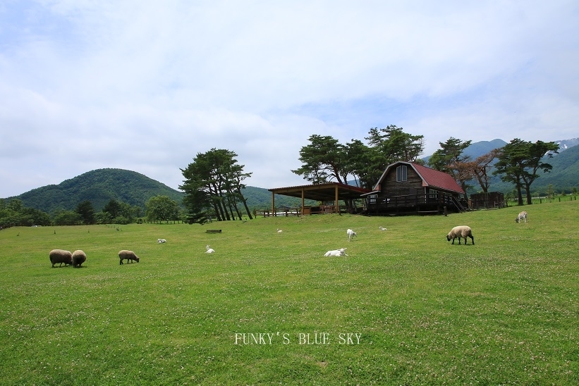 山の麓の牧場へ♪_c0145250_09534625.jpg