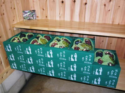 熊本ぶどう 社方園高級種なしぶどう「山鹿のぶどう」 平成29年度も7月7日に初出荷しました!大好評販売中!_a0254656_17552964.jpg