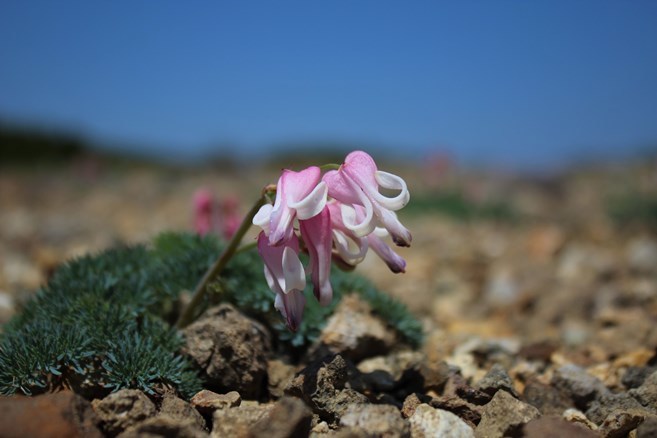 e0239458_21270069.jpg