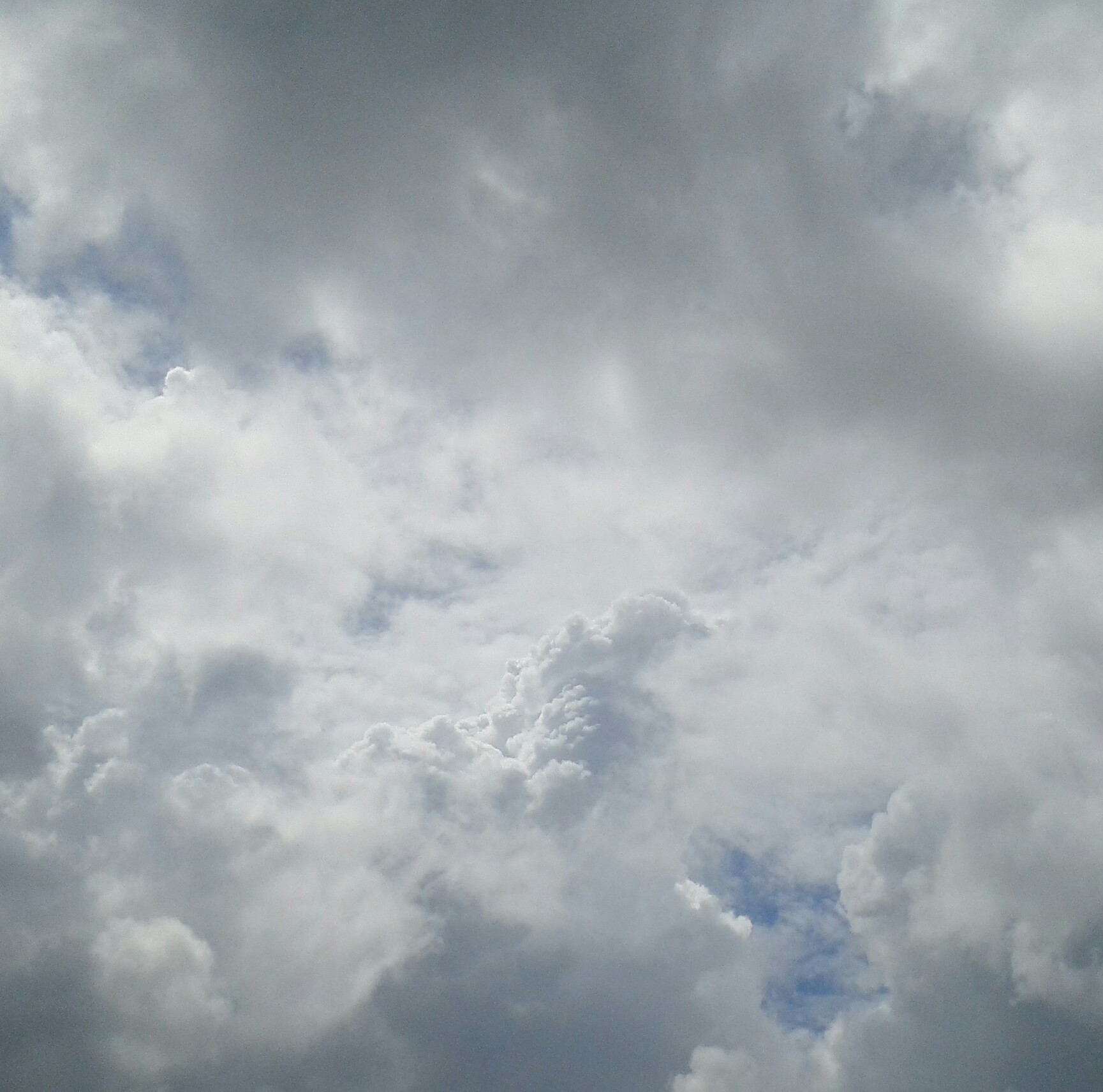 b0368362_13433227.jpg