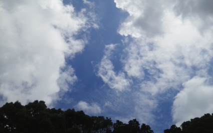 b0368362_13440007.jpg