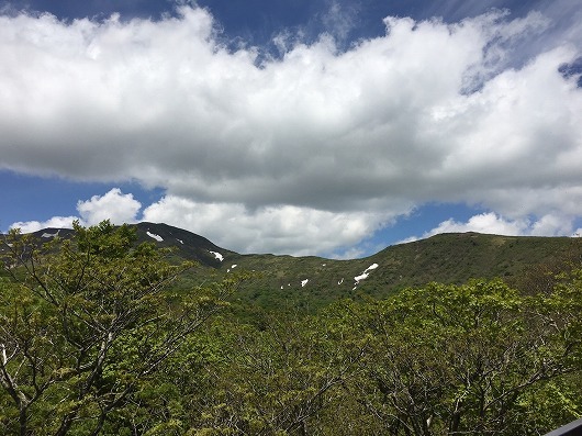 N須　二日目　山へ花見　（6月9日）_b0145863_00051393.jpg