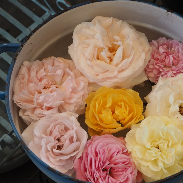 バラの切り花_a0292194_22222375.jpg