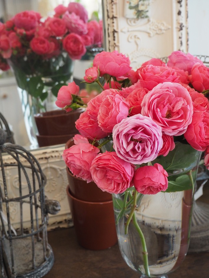 バラの切り花_a0292194_2244334.jpg