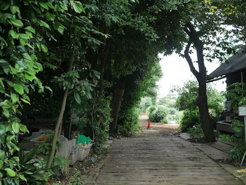 c0090198_19131210.jpg