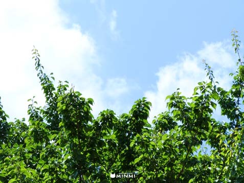 今日も暑いです！(*^▽^*；)_c0140599_13075178.jpg