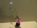 c0125501_08310081.jpg