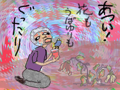 暑くてぐったり～_f0161708_22504017.png