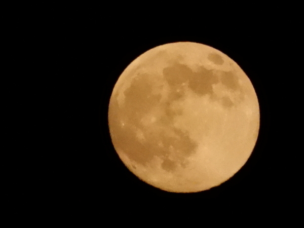b0335110_20481836.jpg