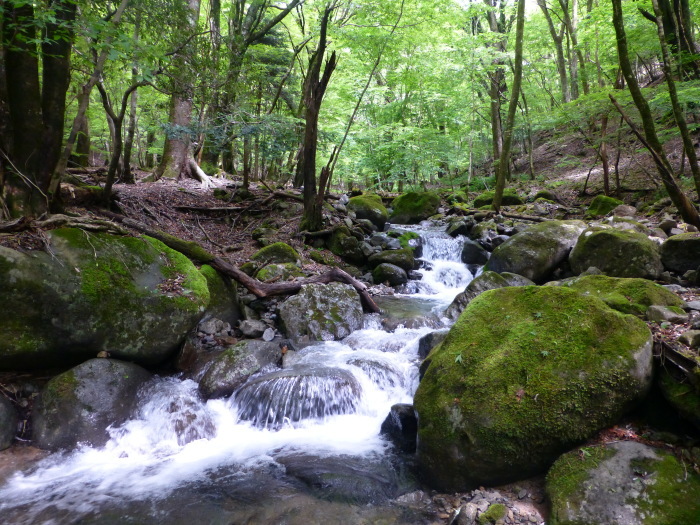f0182513_23122606.jpg