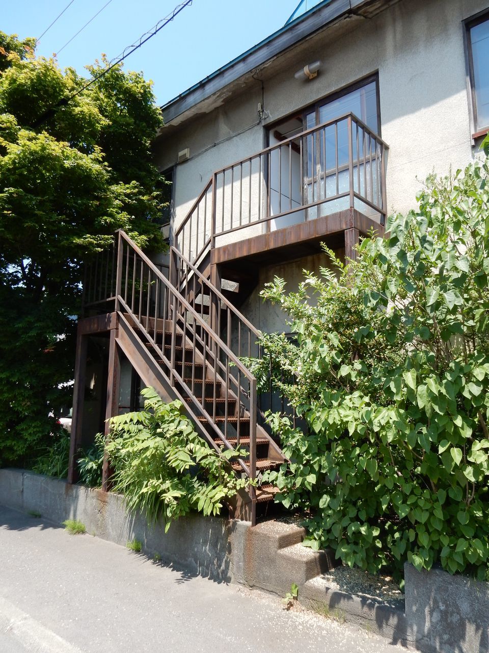 今日もギリギリ真夏日_c0025115_21573794.jpg