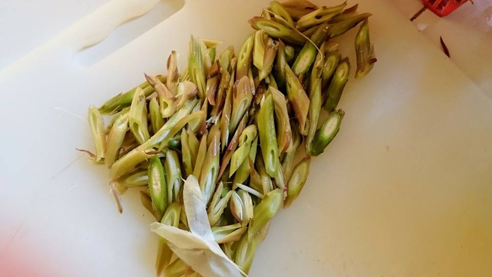 名物料理候補_c0211615_16403081.jpg