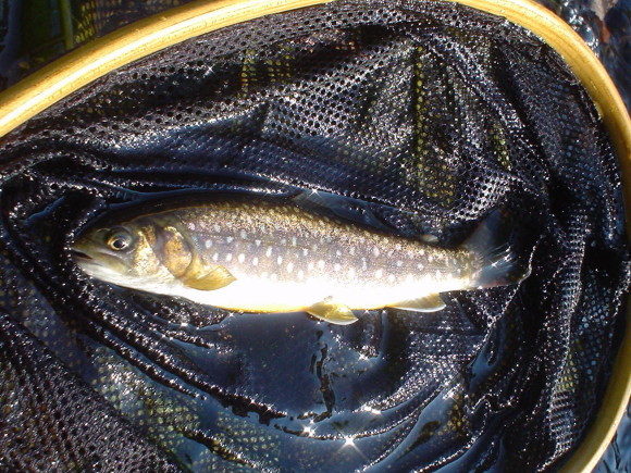 f0280717_11243550.jpg