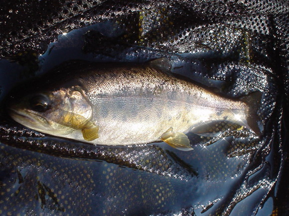 f0280717_11251428.jpg