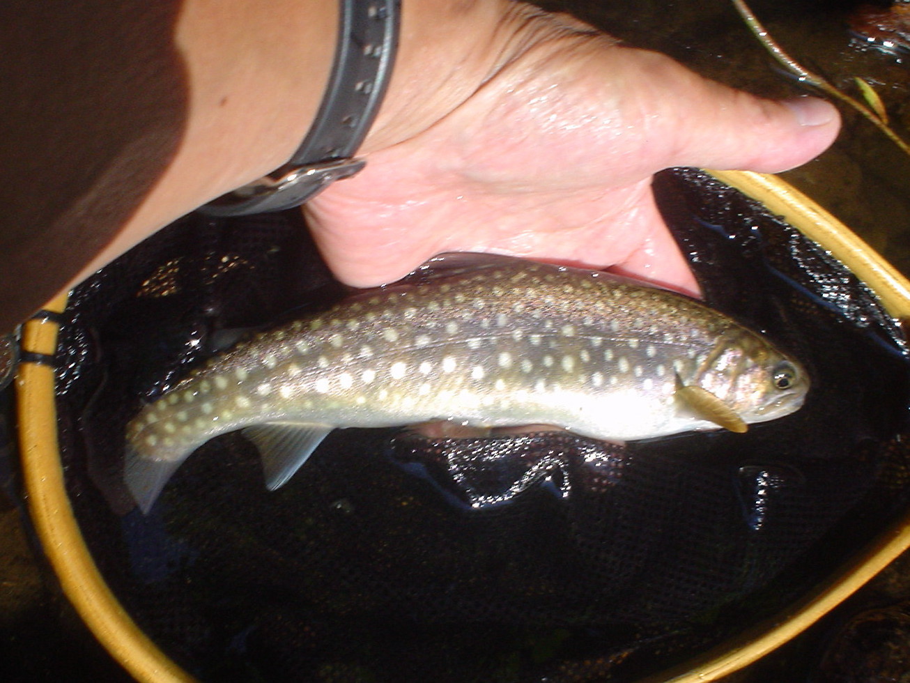 f0280717_11255385.jpg