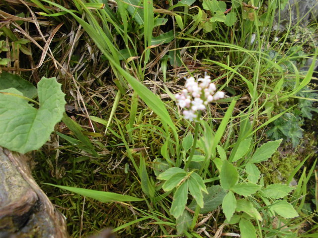 b0181818_08225936.jpg