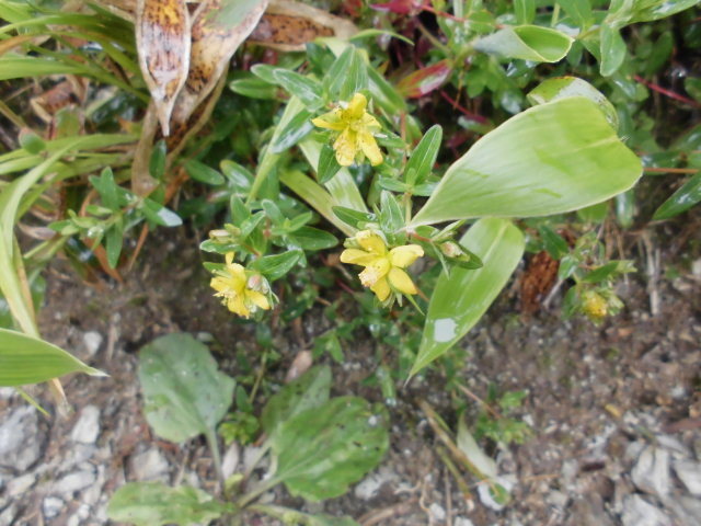 b0181818_08230506.jpg