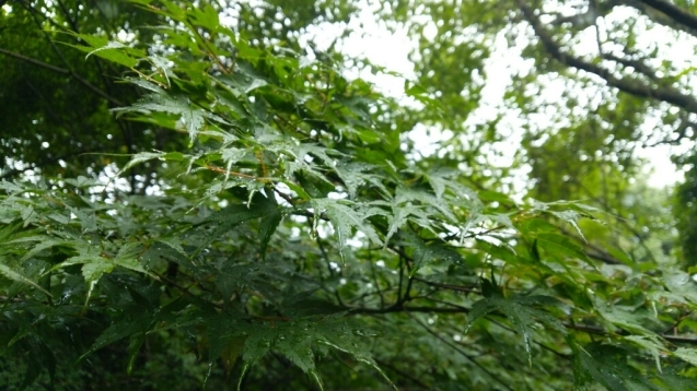 b0211925_00100938.jpg