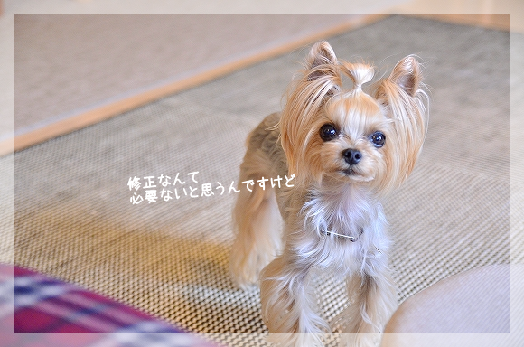d0179828_09011625.png